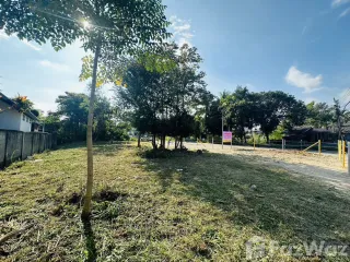 For sale land in Mae Rim, Chiang Mai
