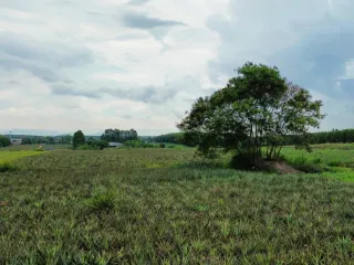For sale land in Nikhom Phatthana, Rayong