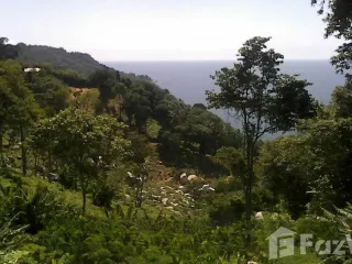 For sale land in Mueang Phuket, Phuket