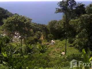 For sale land in Mueang Phuket, Phuket