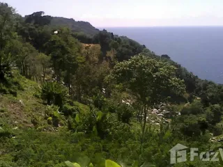 For sale land in Mueang Phuket, Phuket
