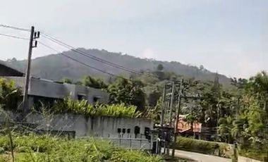 For sale land in Mueang Phuket, Phuket