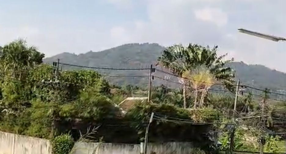 ขาย ที่ดิน ใน เมืองภูเก็ต, ภูเก็ต