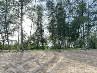 For sale land in Bang Saphan, Prachuap Khiri Khan