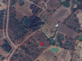 For sale land in Lom Sak, Phetchabun
