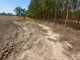 For sale land in Lat Yao, Nakhon Sawan