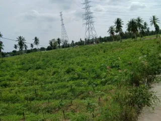 For sale land in Bang Lamung, Chonburi