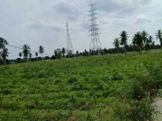 For sale land in Bang Lamung, Chonburi