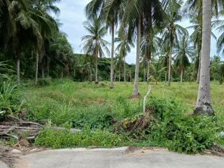 For sale land in Bang Lamung, Chonburi