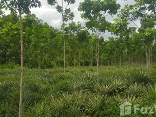 For sale land in Pluak Daeng, Rayong
