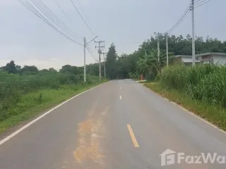 For sale land in Nong Yai, Chonburi