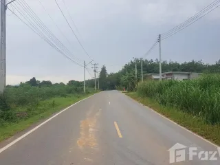 For sale land in Nong Yai, Chonburi