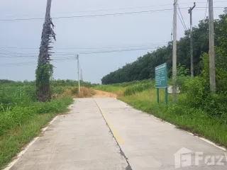 For sale land in Nong Yai, Chonburi