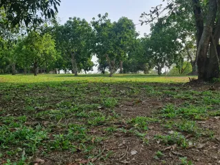 For sale land in Mueang Chiang Rai, Chiang Rai