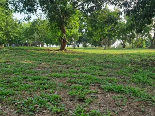 For sale land in Mueang Chiang Rai, Chiang Rai