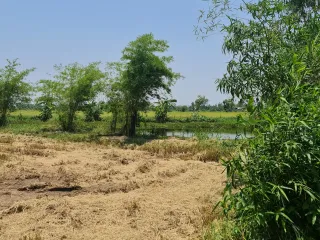 For sale land in Mueang Chiang Rai, Chiang Rai