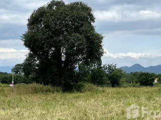 For sale land in Pak Chong, Nakhon Ratchasima