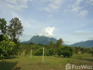 For sale land in Chiang Dao, Chiang Mai