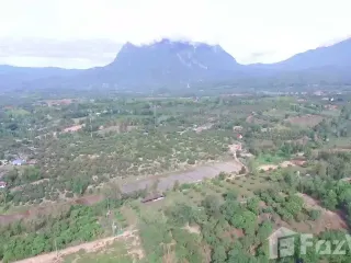 For sale land in Chiang Dao, Chiang Mai