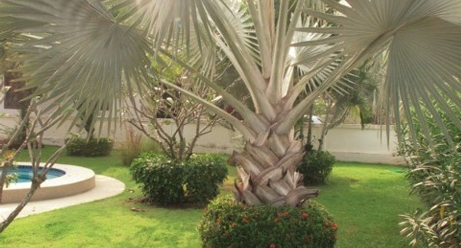 For rent 2 bedrooms house in Pran Buri, Prachuap Khiri Khan