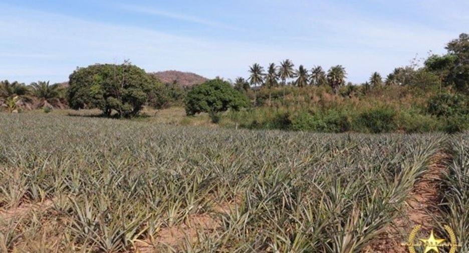 À vendre terrain à Sam Roi Yot, Prachuap Khiri Khan