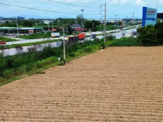 For sale land in Nikhom Phatthana, Rayong