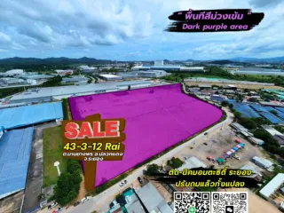 For sale land in Pluak Daeng, Rayong