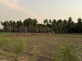 For sale land in Mueang Phetchabun, Phetchabun