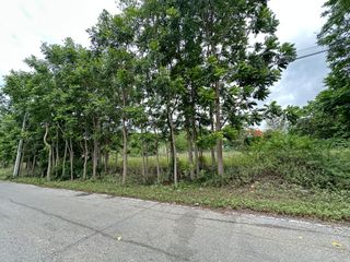 For sale land in Sam Roi Yot, Prachuap Khiri Khan