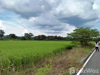 ขาย ที่ดิน ใน แม่ริม, เชียงใหม่