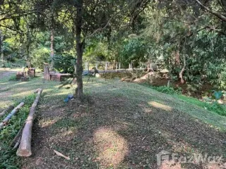 For sale land in Mueang Pan, Lampang