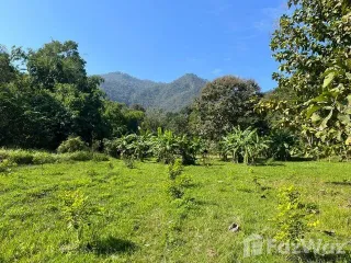 For sale land in Mueang Pan, Lampang