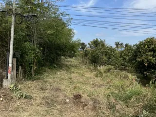 For sale land in Pak Chong, Nakhon Ratchasima