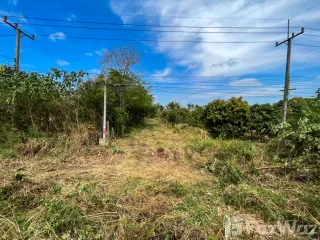 For sale land in Pak Chong, Nakhon Ratchasima
