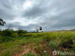 For sale land in Pak Chong, Nakhon Ratchasima