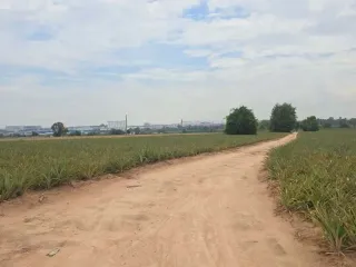 For sale land in Pluak Daeng, Rayong