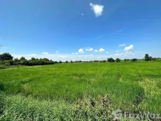 For sale land in Chaloem Phra Kiat, Nakhon Ratchasima