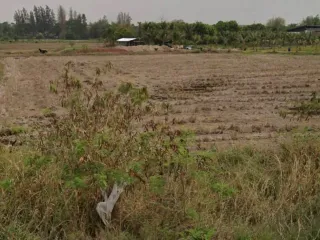 For sale land in Mueang Nakhon Ratchasima, Nakhon Ratchasima