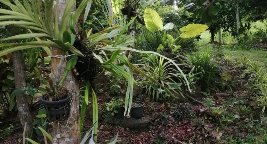 For sale 1 bed villa in Ko Pha-ngan, Surat Thani