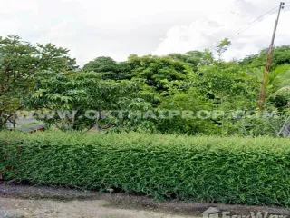 For sale land in Bang Mun Nak, Phichit