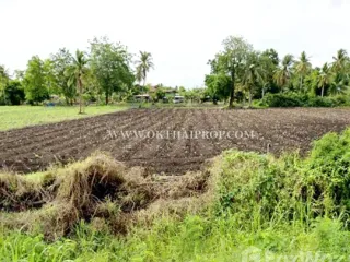 For sale land in Takhli, Nakhon Sawan