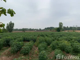 For sale land in Mueang Surin, Surin
