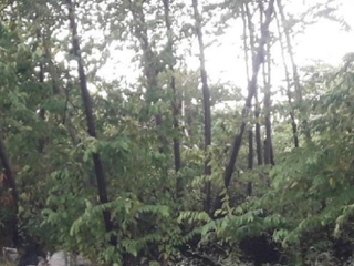 For sale land in Bang Phli, Samut Prakan