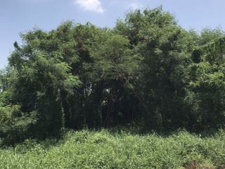 For sale land in Bang Phli, Samut Prakan