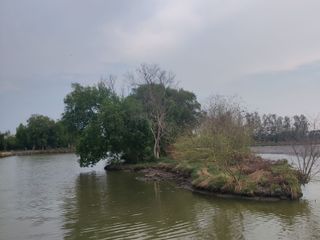 ขาย ที่ดิน ใน พระสมุทรเจดีย์, สมุทรปราการ