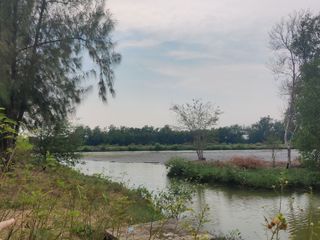 ขาย ที่ดิน ใน พระสมุทรเจดีย์, สมุทรปราการ