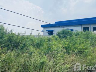 ขาย ที่ดิน ใน บางบ่อ, สมุทรปราการ