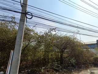 For sale land in Bang Phli, Samut Prakan