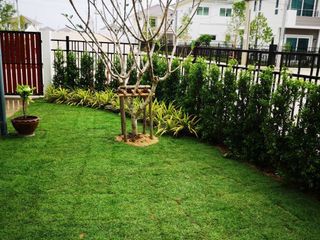 For rent 4 bed house in Phra Samut Chedi, Samut Prakan
