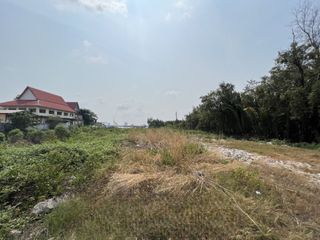 For sale land in Phra Samut Chedi, Samut Prakan